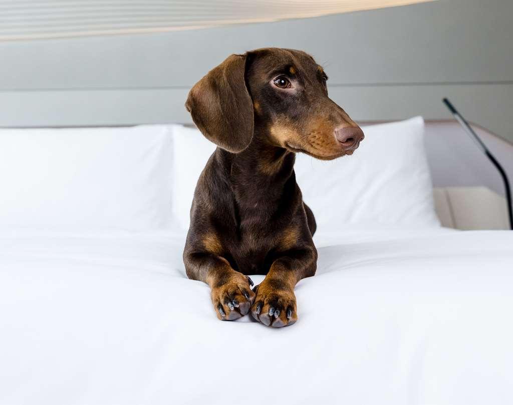 Hotel Me Barcelona Wyposażenia zdjęcie